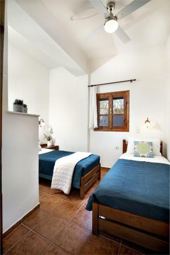 Villa Zoi Tzitzifes