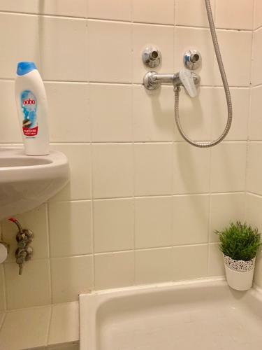 Apartamento Villa F�red
