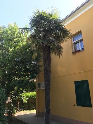 Apartment Zara Sun