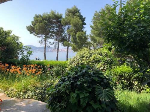 Apartmani Sunce