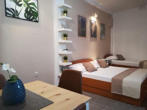 Apartments Carevic