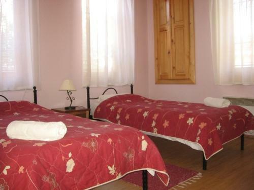 Hostal Chola Guest House