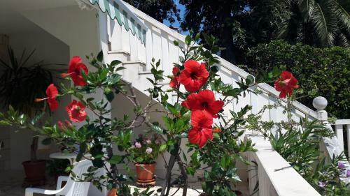 Apartamento Villa Fontana