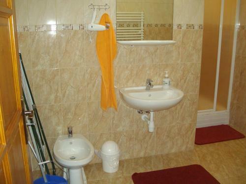 Hostal Somodi Vend�gh�z