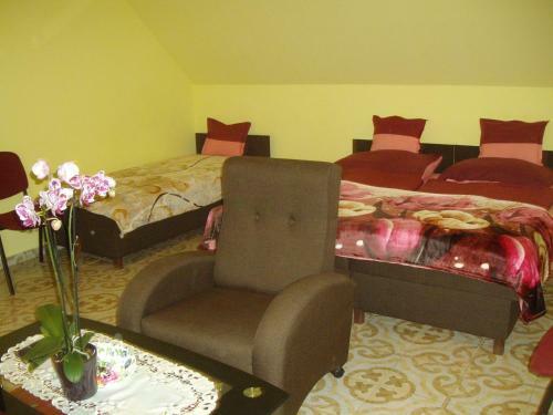 Hostal Somodi Vend�gh�z