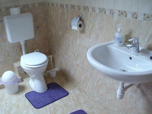 Hostal Somodi Vend�gh�z