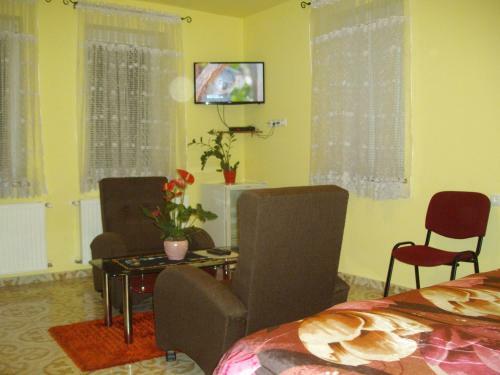 Hostal Somodi Vend�gh�z