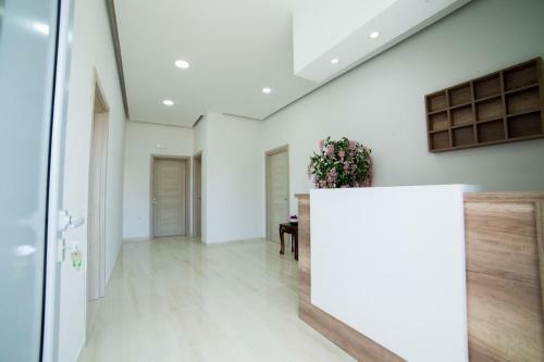Demiri Apartments