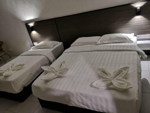 Hostal Luna Guesthouse