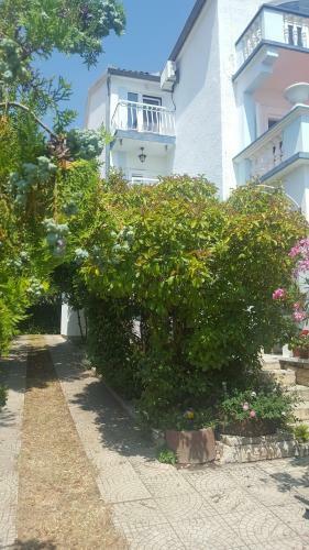 Oleander Apartment In Pako?tane