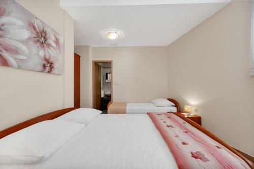 Apartment Amfora