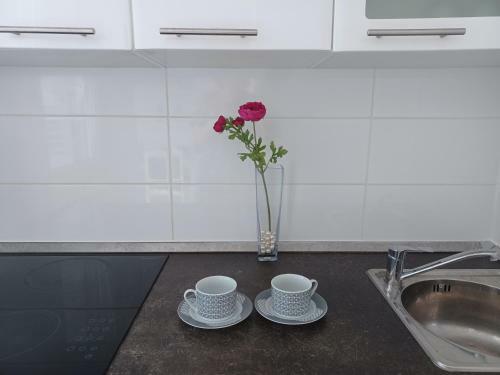 Mirela Modern Apartment Near The Beach, Novalja