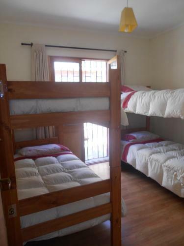 El Arbol Hostel