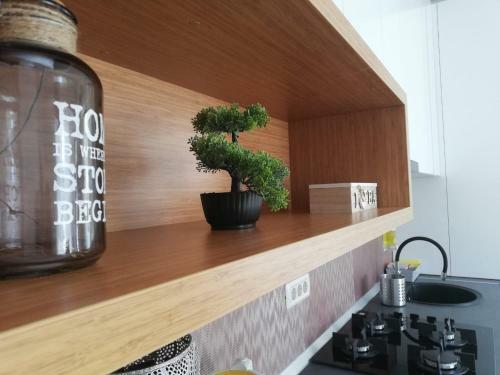 Lemon Apartment