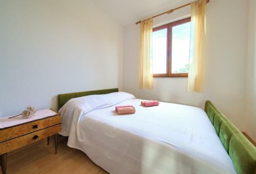 Rasopasno Apartment With Terrace And Private Parking