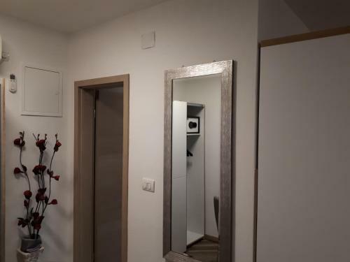 Apartment Dujica