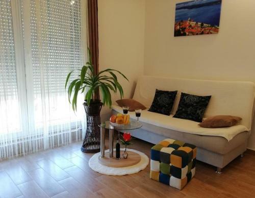 Apartment Damir