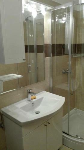 Apartment Damir
