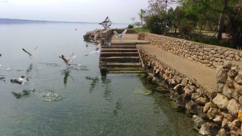 Bed & Breakfast Delfin