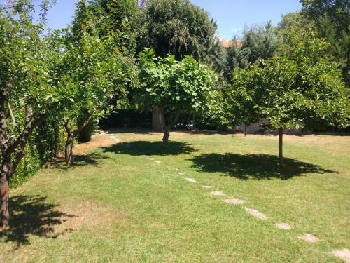 Apartmani Natasa