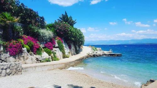 Apartmani Natasa