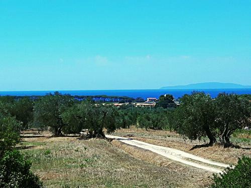 Villa Olga