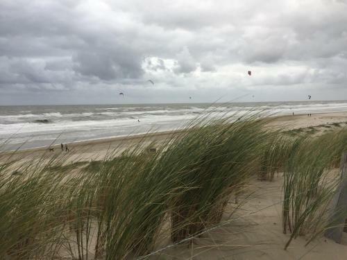 Bungalow Boerenslag 42 In Strandn�he