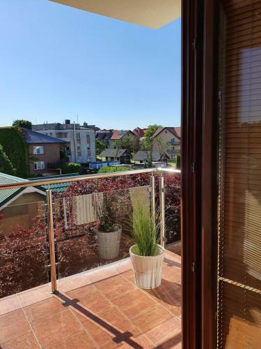 Apartamenty Besthel