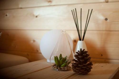 Lodge Domek Pod Kamark?