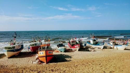 Sea & Lake