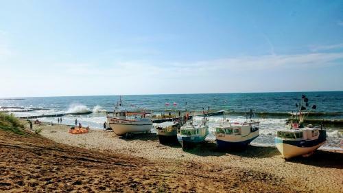 Sea & Lake