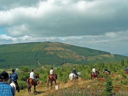 Agroturismo Sza?as Muflon - Mufflonh�tte