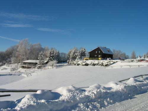 Agroturismo Sza?as Muflon - Mufflonh�tte
