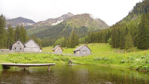Alpine Chalet - H�ttfeldalm - Almh�tte - Panoramablick