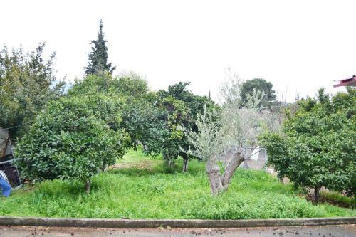 Villa Bella Loukisia