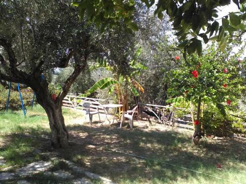 Apartamento Chirios Napa Studios