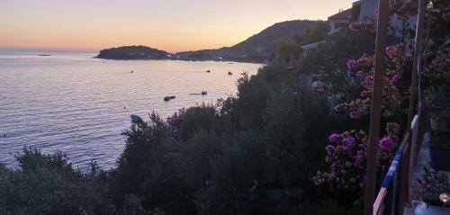 Holiday Home Prizba