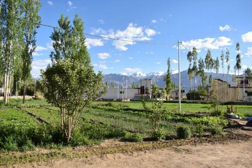 Hostal Kushu Guest House