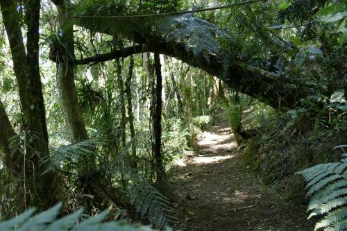 Posada Pousada Ecol�gica Itoror�