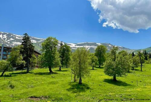 Mountain Villa Didveli