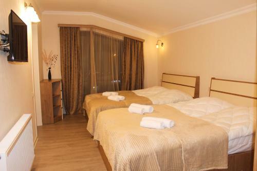 Mountain Villa Didveli