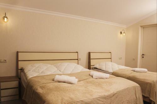 Mountain Villa Didveli