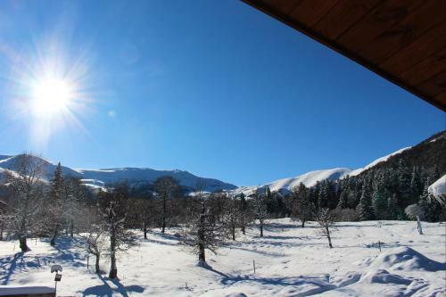 Mountain Villa Didveli