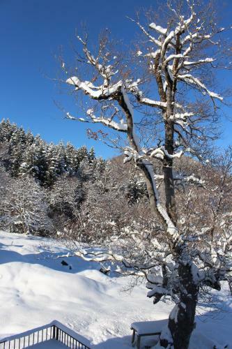 Mountain Villa Didveli
