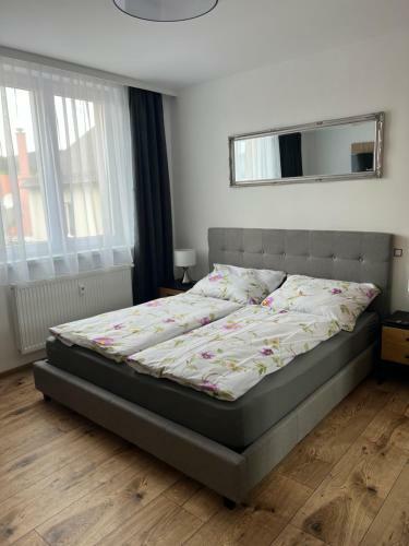Apartm�ny U Jelena