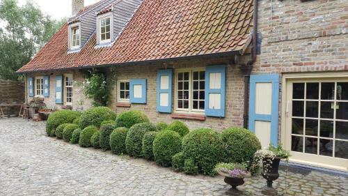 B&B De Meidoorn