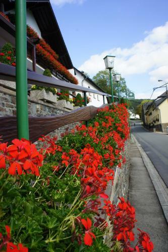 Hotel Rittersprung