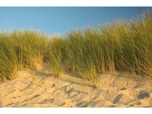 Premium Apartment With Private Wellness In Zeeland