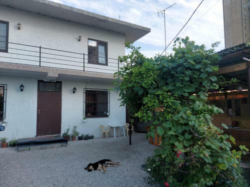 Hostal Annami