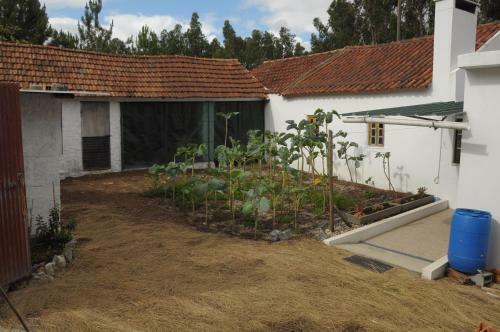 Casa Mourato